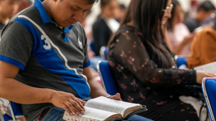 Beauty Emerges From Plan B